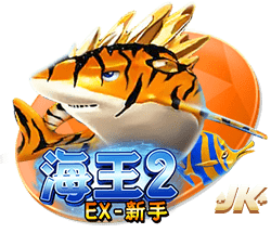 何龙海助攻段刘愚破门，西海岸1
